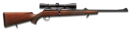 MauserM96.png